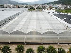 Low Cost Green House Acessórios Conjunto inteiro Portas deslizantes Painéis De Policarbonato Agricultura Estufas - Product Image 6