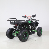 Quad ATV utilitaire miniature Tao Motor Rino 50 pas cher, 2 temps, 49 cm³, 4 roues pour enfants