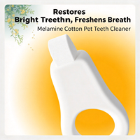 Stylo Nettoyant Dentaire pour Animaux au Parfum Frais, Outil en Plastique pour l'Élimination du Tartre et de la Plaque Dentaire, Accessoire de Blanchiment des Dents pour Chiens et Chats