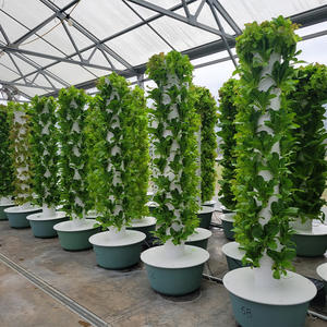 NUEVO Hidroponía Vertical Motorizado Jardín giratorio Torre aeropónica Granja Sistema giratorio Torre de jardín vertical Agricultura - Product Image 4
