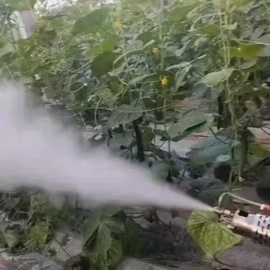 Spruzzatore Manuale a Zaino di Alta Qualità per Agricoltura, Spruzzatore a Batteria - Product Image 2