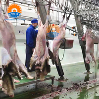 Maquinaria para Mataderos de Ovejas y Cabras Halal, Proyecto Completo Llave en Mano de Línea de Sacrificio con Capacidad para 500 Cabezas por Día para el Procesamiento de Carne de Cordero