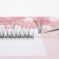 Fishtail Cluster Lash 0.07mm Type Mode bricolage cluster cils en gros cluster individuel noeud extensions de cils gratuits