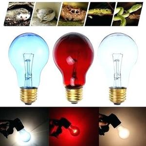 China Factory Direct Buy <strong>UV</strong> Halogen Heating Lamp <strong>Bulb</strong> for Animal Husbandry Breeding Equipment Lighting - Product Image 4