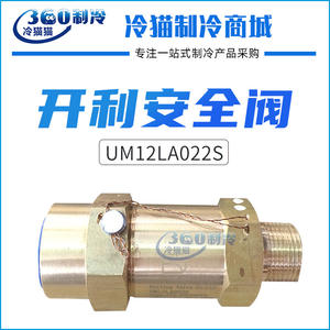 Soupape de sécurité filetée Um12la022s 300 bars pour évaporateur d'unité de réfrigération DN20 - Product Image 5