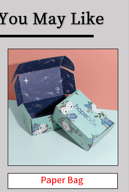 Sturdy And Compressive Gift Box Corrugated Paper Airplane Case food sushi pizza BoxThe Toy digital Box