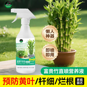 Solution nutritive liquide pour plantes de jardinage pour débutants, pour des feuilles vertes éclatantes et une plantation luxuriante - Product Image 2