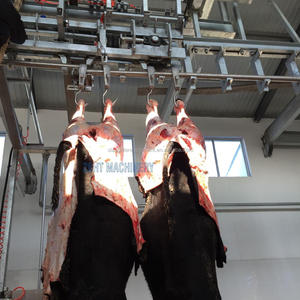 Équipement d'abattage de <span class=keywords><strong>boucherie</strong></span> <span class=keywords><strong>halal</strong></span> de boeuf Machines de traitement de la viande avec pompe et moteur Chambre froide Stockage pour bétail de ferme - Product Image 3