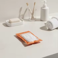 Sacs d'emballage en Mylar PE avec fermeture éclair auto-scellante imperméable avec logo personnalisé pour le stockage de vêtements et de sous-vêtements