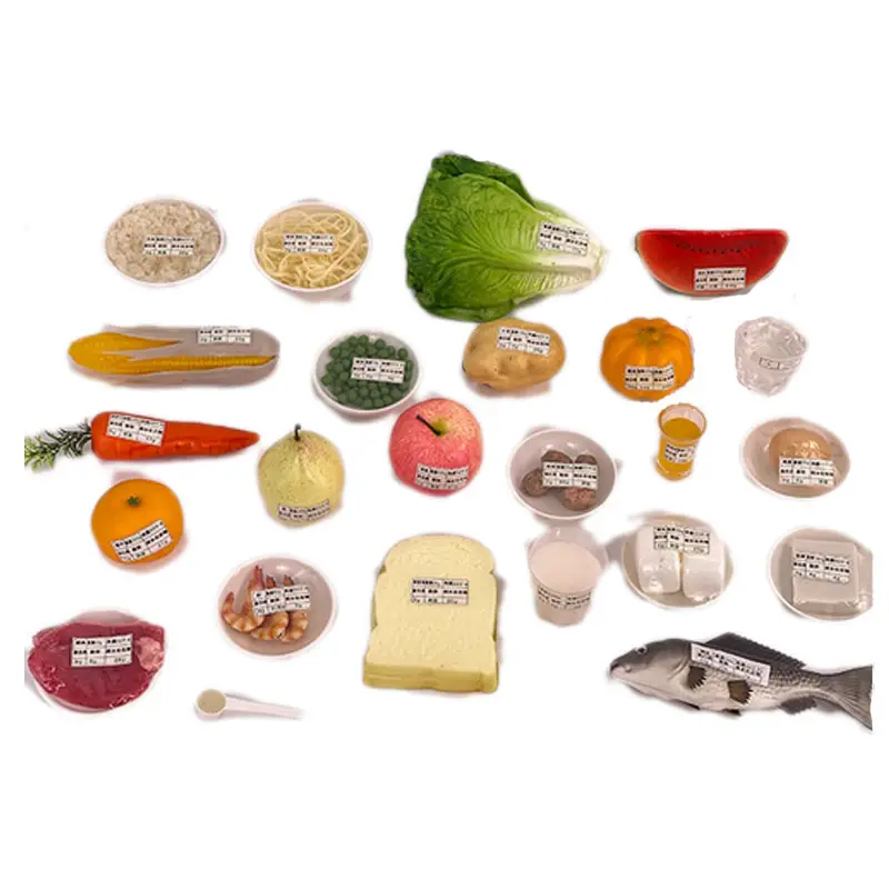 24 Kinds of Simulated Dietary Food Food Placement Sequence Models