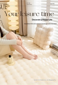 Tapis en peluche velours effet du vent couleur crème, imitation fourrure de lapin, pour chambre à coucher, chevet, salon, fenêtre en <span class=keywords><strong>baie</strong></span>, coussin de canapé - Product Image 5