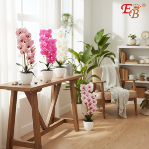 กล้วยไม้สดขนาด 6.5"X6.8"X24.5" แบบเหมือนจริง ชุด 6 ชิ้น/แพ็ค - Product Image 3