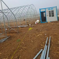 Serre agricole tropicale intelligente à grande portée et à simple portée avec couverture en tôle PC pour la culture de la tomate et le jardin potager
