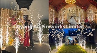 Système de tir de feux d'artifice sans fil à 12 canaux avec télécommande en plastique pour pyrotechnie froide, fontaines de scène, mariages, célébrations du Nouvel An