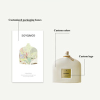 Diffuseur à bâtonnets en verre sans BPA de 100 ml, coloris Morandi, sans alcool, écologique, parfum frais longue durée, durée 4 mois, vente en gros