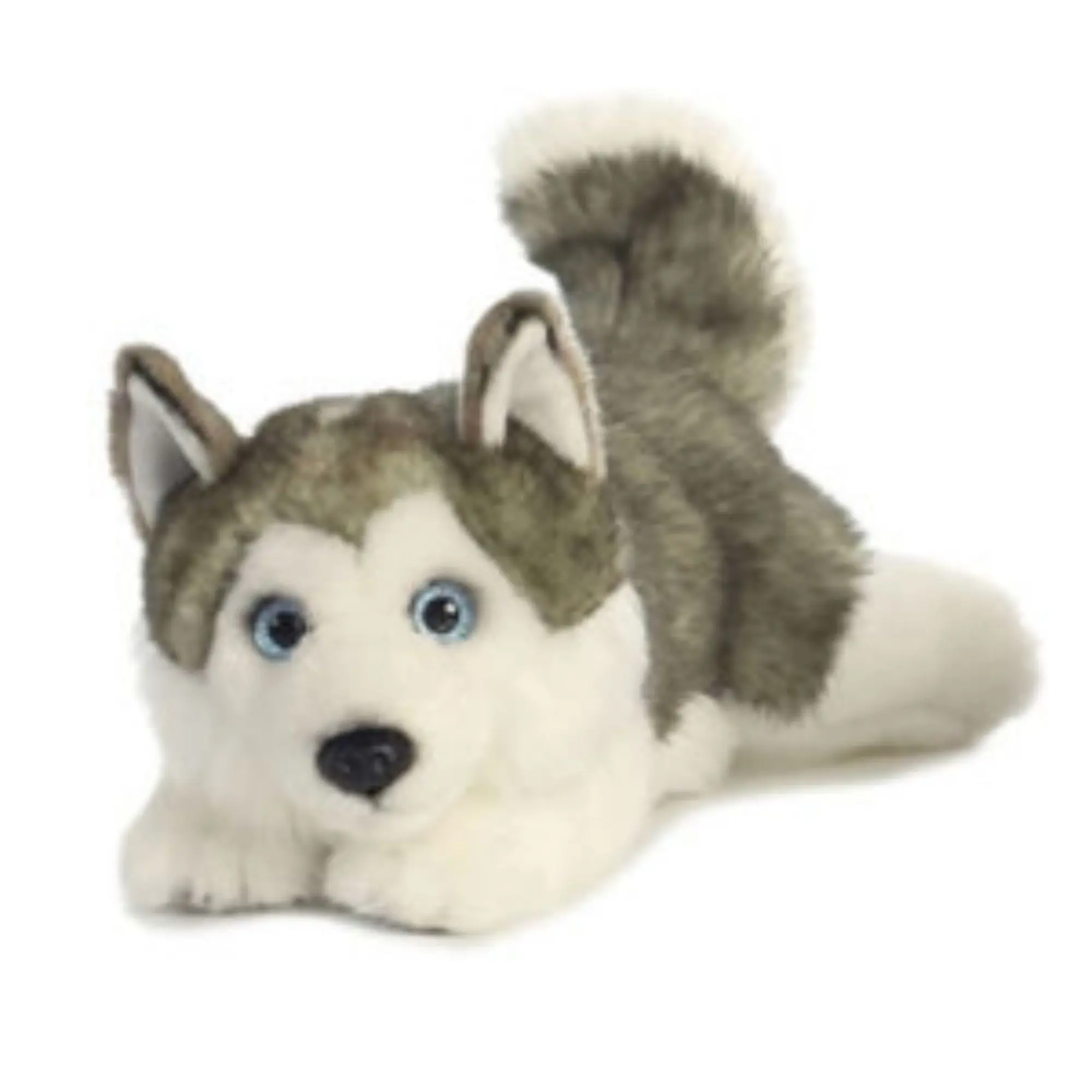 Soft husky plush dog stuffed toys as Valentines gifts