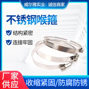 Collier de serrage en acier inoxydable Wellya de style américain 304, taille personnalisable pour la fixation et la fixation par verrouillage des tuyaux - Product Image 1