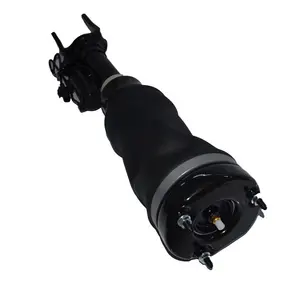 Quality Assurance Air Suspension For W251 R- Class 2006-2010 Front OEM 2513203013 Shock Absorber Manufacturer