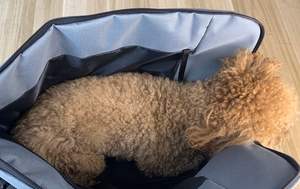 Hafif kare su geçirmez naylon örgü fermuar eğlence evcil hayvan taşıyıcı torba çok amaçlı taşınabilir küçük köpek taşıma - Product Image 6