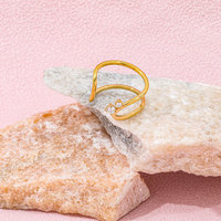 Fenny 18 Karat vergoldet Großhandel No Fade Fashion Doppels chicht Fein Zirkonia Öffnung Edelstahl Fingerring Trendy für Frauen