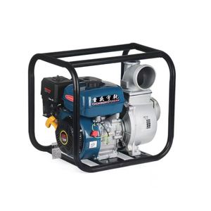 Pompe à eau haute pression 6,5 CV pour l'irrigation agricole, capable de pomper WP20 WP30 WP40 - Product Image 2