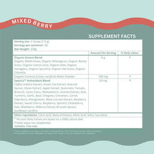 Supplément de jus végétalien personnalisé mélange de légumes verts poudre de boisson énergétique super alimentaire avec vitamine minérale fruits légumes poudre nutritive - Product Image 4