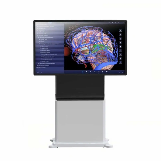 Mecanmed Medical Science 3D Virtual Human Anatomy Table Digital Human Virtual Anatomy Table System