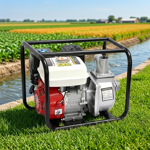 Pompe à eau d'irrigation auto-amorçante en fonte haute pression OEM de 2-3 pouces pour équipement agricole - Product Image 1