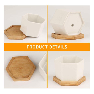 Vasi per <span class=keywords><strong>Piante</strong></span> da Interno Esagonali in Stile Nordico a Basso Prezzo, Piccoli Vasi in Ceramica Bianca per Succulente Miniature - Product Image 5