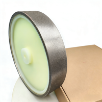 Meule diamantée électroplaquée de 10 pouces, surface droite et continue, 60 # -3000 #   Outil de ponçage à usage humide/sec pour métal/verre