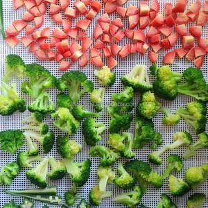 40*40cm không dính Silicone <span class=keywords><strong>dehydrator</strong></span> tấm 1x1mm lỗ đục lỗ trái cây máy sấy lưới cổ điển bánh bao hấp Màn hình mat - Product Image 2