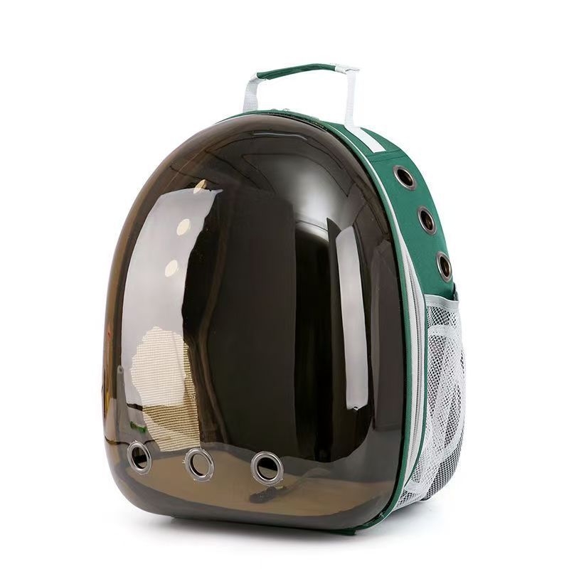 Greenish-brown shell