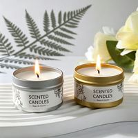 Zinnblechdosen-Kokoswachs SPA-Massage Rauchfreie Aromakerzen Kreative Duftkerzen im Becherdesign