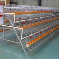 Meilleures Offres : Cages à Poules Pondeuses pour l'Élevage Avicole au Pakistan – Cages en Batterie pour Poules Pondeuses à Vendre