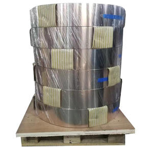 Bande Inconel 601 Bande de nickel Alliage Bande plate Inconel 601 - Product Image 4