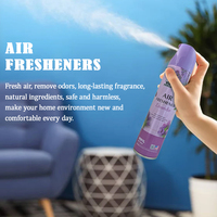 Vente en gros OEM, aérosol désodorisant pour voiture 330 ml, qualité supérieure, désodorisant d'ambiance