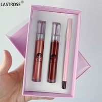 Kit de Lèvres Tube Transparent Vegan 3 en 1 Étanche Brillant Mat Brillant Hydratant Brillant Crémeux Brun Longue Durée Ensemble de Crayon à Lèvres