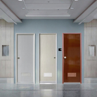 Puerta Interior Moderna de Acero, Insonorizada, Anticolisión, Resistente a Impactos, Manual, para Apartamentos, Hospitales, Laboratorios, Escuelas y Almacenes