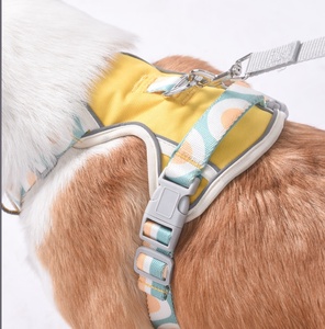 Pettorina Riflettente in Nylon Anti-Riot per <span class=keywords><strong>Cani</strong></span>, Comoda Imbracatura con Guinzaglio per Bulldog Francese, Chihuahua, Carlino, per Passeggiate all'Aperto - Product Image 6