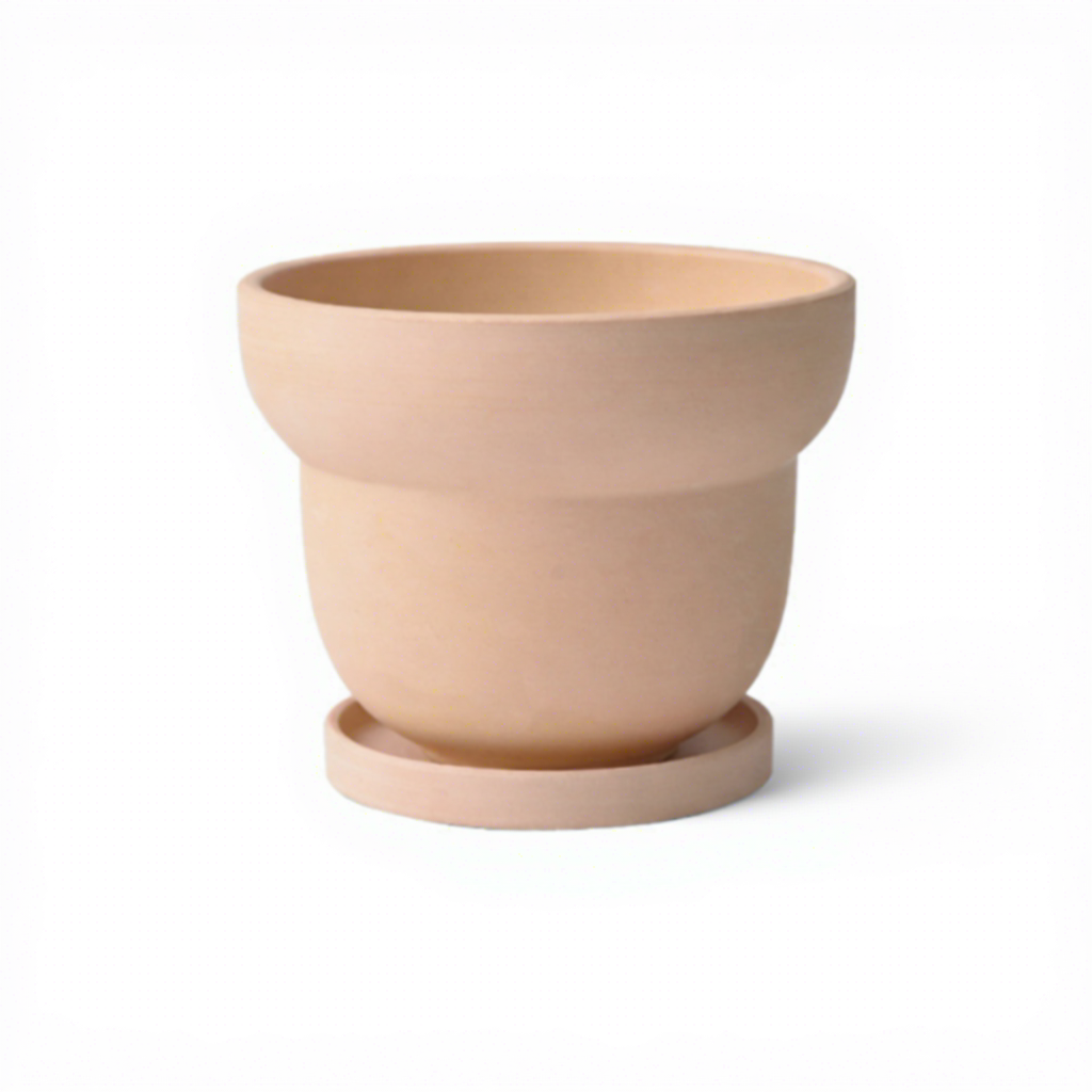 Beige Style C + tray