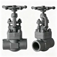 Vanne à soupape à souder en acier au carbone forgé PN20 avec volant OEM 1/2"-2" pour l'approvisionnement en huile, gaz, produits chimiques et eau