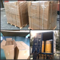 Filter Oli Hidrolik Mesin Konstruksi 29558464 P4220427 HY 80053 53344288 M67505-57 923944.3095 SH 66359