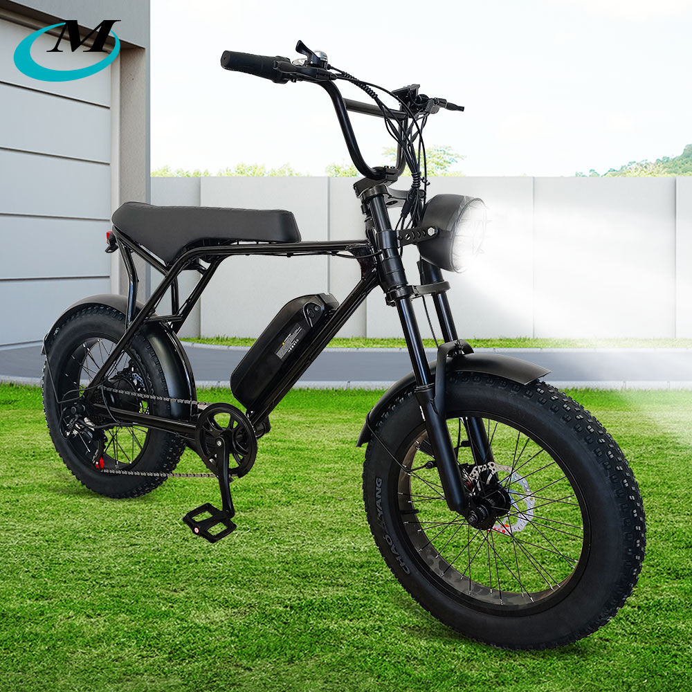 US EU UK 13/26AH 750W Electric Motorcycle 20 Inch Fat Tire Ebike Dual  Suspension Mountain Bike