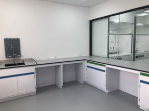 Mesa de Laboratorio de Acero Personalizada por el Fabricante, Muebles de Laboratorio Resistentes a Químicos para Sala de Laboratorio Físico - Product Image 5