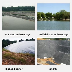 <span class=keywords><strong>Membrane</strong></span> géotextile imperméable en PEHD <span class=keywords><strong>pour</strong></span> bassin d'élevage de crevettes, bassin aquacole, <span class=keywords><strong>jardin</strong></span> sur toit et parc aquatique - Meilleures ventes - Product Image 6