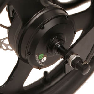 Juego de Ruedas Integradas con Neumáticos Gruesos de <span class=keywords><strong>16</strong></span> Pulgadas TXED, Motocicleta Eléctrica <span class=keywords><strong>para</strong></span> Niños, Bicicleta Eléctrica de 250 W - Product Image 4