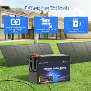 Batterie solaire DELONGTOP LFP rechargeable à décharge profonde avec BMS 12,8 V 300 Ah, batterie de stockage d'énergie lithium-ion 12 V LFP12300 - Product Image 6