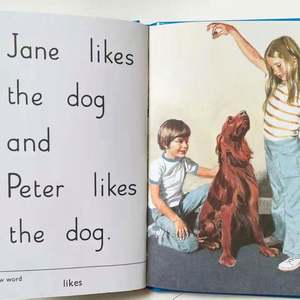 Lote de 36 Libros de Tapa Dura al por Mayor, Palabras Clave de Ladybird con Peter Jane, Libro de Cuentos con Ilustraciones para Aprender Inglés para Niños - Product Image 3