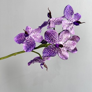 Orquídea Artificial <span class=keywords><strong>de</strong></span> 7 Cabezas con Tacto Realista, Modelo HH-71111, <span class=keywords><strong>de</strong></span> Plástico, para Decoración <span class=keywords><strong>de</strong></span> Bodas y Hogar, Hecha en China - Product Image 6