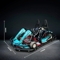 Go Kart de 2 Plazas a Gasolina, Motor de 200cc, Kart de Carreras para Adultos y Adolescentes, Uso Comercial, 60 km/h